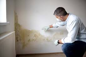  Taft, TX Mold Inspection Pros